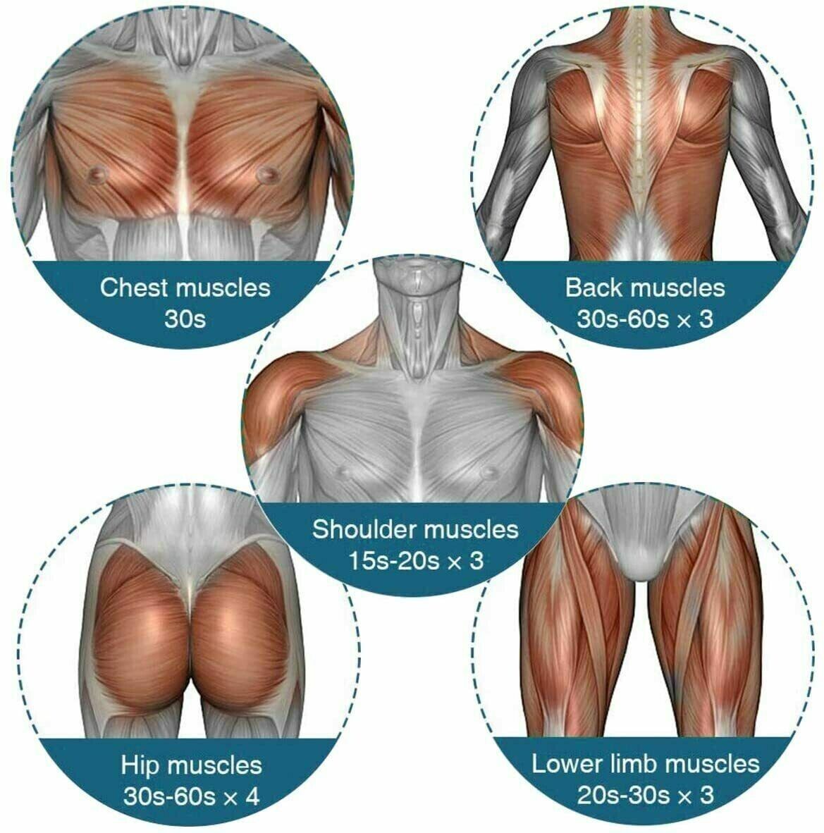 Massage Gun Percussion Massager Deep Tissue Muscle Vibrating Relaxing